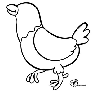 آموزش نقاشی مرغ کارتونی مرحله پنجم compressed آموزش نقاشی مرغ کارتونی مرحله پنجم compressed