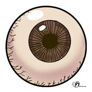 آموزش نقاشی چشم برای کودکان مرحله ششم compressed آموزش نقاشی چشم برای کودکان مرحله ششم compressed