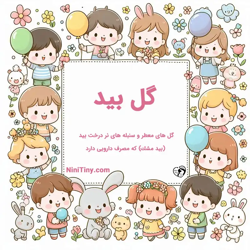 معنی اسم گل بید تضیحات و دلیل انتخاب گل بید