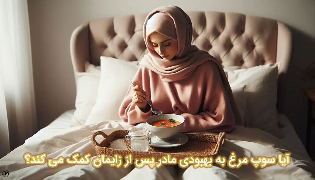 سوپ مرغ پس از زایمان سوپ مرغ پس از زایمان