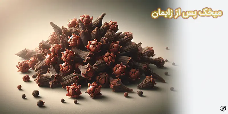 Cloves after childbirth میخک پس از زایمان