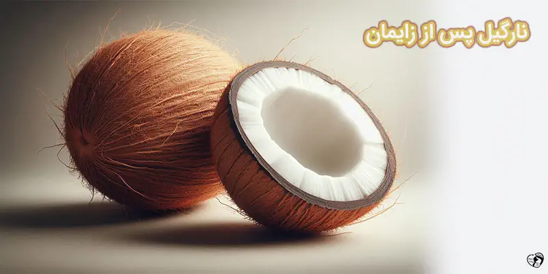 Coconut A Nourishing Superfood for Postpartum Recovery نارگیل پس از زایمان