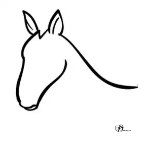 آموزش نقاشی اسب برای کودکان مرحله دوم compressed 1 آموزش نقاشی اسب برای کودکان مرحله دوم compressed 1