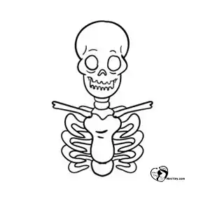 آموزش نقاشی اسکلت برای کودکان مرحله سوم compressed 1 آموزش نقاشی اسکلت برای کودکان مرحله سوم compressed 1