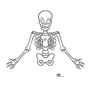 آموزش نقاشی اسکلت برای کودکان مرحله ششم compressed 1 آموزش نقاشی اسکلت برای کودکان مرحله ششم compressed 1