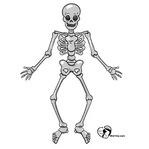 آموزش نقاشی اسکلت برای کودکان مرحله نهم compressed 1 آموزش نقاشی اسکلت برای کودکان مرحله نهم compressed 1