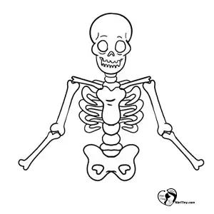 آموزش نقاشی اسکلت برای کودکان مرحله پنجم compressed 1 آموزش نقاشی اسکلت برای کودکان مرحله پنجم compressed 1