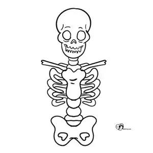 آموزش نقاشی اسکلت برای کودکان مرحله چهارم compressed 1 آموزش نقاشی اسکلت برای کودکان مرحله چهارم compressed 1