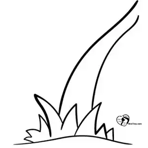 آموزش نقاشی درخت نخل برای کودکان مرحله سوم compressed آموزش نقاشی درخت نخل برای کودکان مرحله سوم compressed