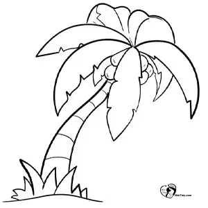 آموزش نقاشی درخت نخل برای کودکان مرحله ششم compressed آموزش نقاشی درخت نخل برای کودکان مرحله ششم compressed