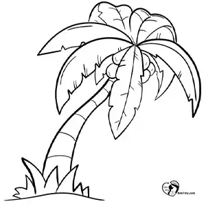 آموزش نقاشی درخت نخل برای کودکان مرحله هفتم compressed آموزش نقاشی درخت نخل برای کودکان مرحله هفتم compressed