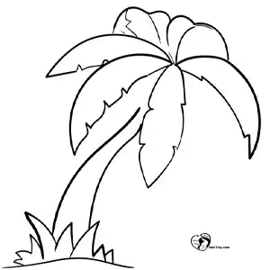 آموزش نقاشی درخت نخل برای کودکان مرحله پنجم compressed آموزش نقاشی درخت نخل برای کودکان مرحله پنجم compressed