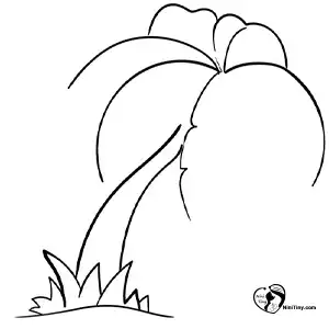 آموزش نقاشی درخت نخل برای کودکان مرحله چهارم compressed آموزش نقاشی درخت نخل برای کودکان مرحله چهارم compressed