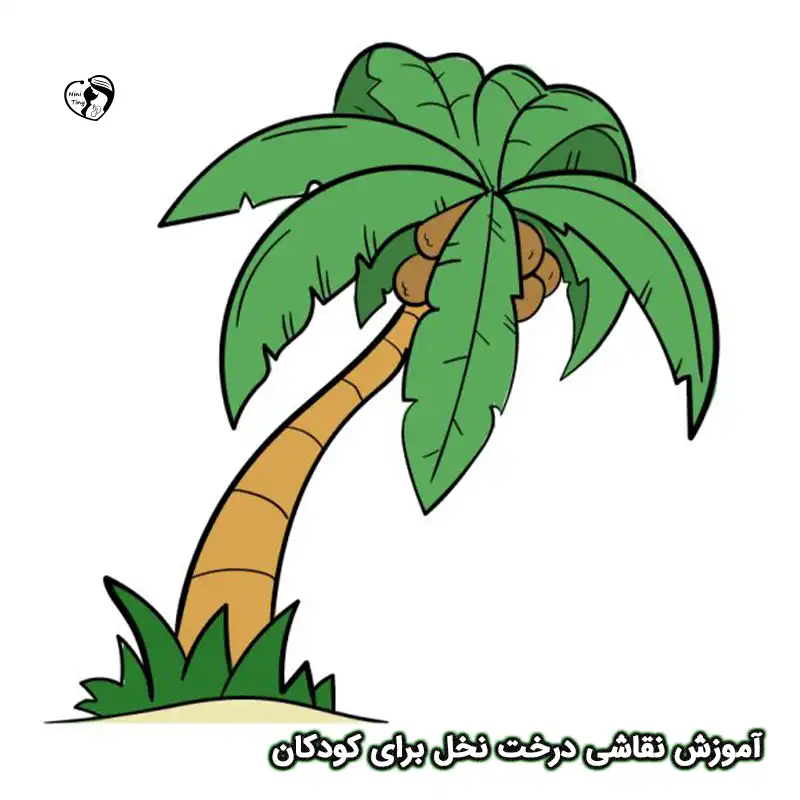 آموزش نقاشی درخت نخل برای کودکان compressed