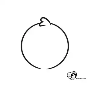 آموزش نقاشی طاووس برای کودکان مرحله اول compressed 1 آموزش نقاشی طاووس برای کودکان مرحله اول compressed 1