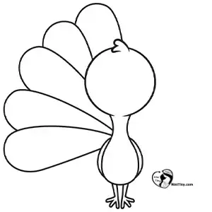 آموزش نقاشی طاووس برای کودکان مرحله پنجم compressed 1 آموزش نقاشی طاووس برای کودکان مرحله پنجم compressed 1