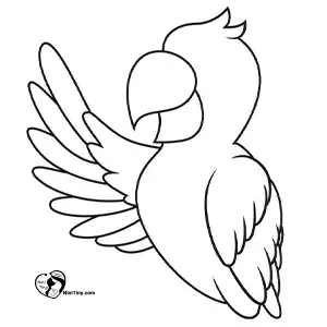 آموزش نقاشی طوطی برای کودکان مرحله هفتم compressed 1 آموزش نقاشی طوطی برای کودکان مرحله هفتم compressed 1