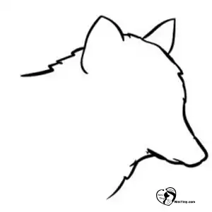 آموزش نقاشی گرگ برای کودکان مرحله اول compressed آموزش نقاشی گرگ برای کودکان مرحله اول compressed