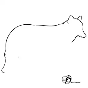 آموزش نقاشی گرگ برای کودکان مرحله دوم compressed آموزش نقاشی گرگ برای کودکان مرحله دوم compressed