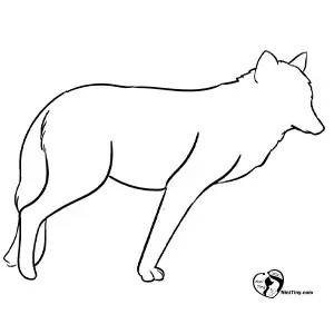 آموزش نقاشی گرگ برای کودکان مرحله سوم compressed آموزش نقاشی گرگ برای کودکان مرحله سوم compressed