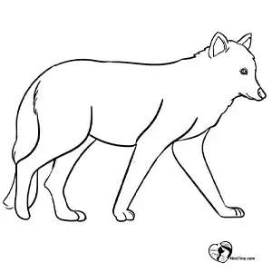 آموزش نقاشی گرگ برای کودکان مرحله چهارم compressed آموزش نقاشی گرگ برای کودکان مرحله چهارم compressed