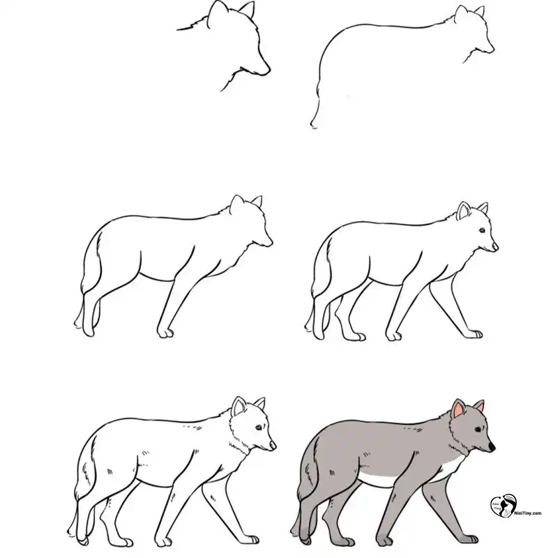 آموزش نقاشی گرگ برای کودکانن compressed آموزش نقاشی گرگ برای کودکانن compressed