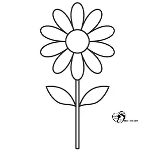 آموزش نقاشی گل بابونه برای کودکان مرحله هفتم compressed 1 آموزش نقاشی گل بابونه برای کودکان مرحله هفتم compressed 1