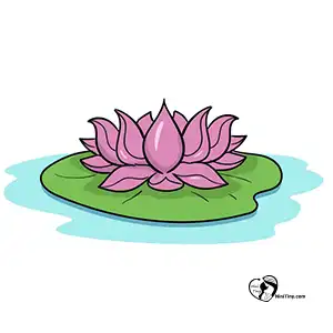 آموزش نقاشی گل نیلوفر برای کودکان مرحله هشتم compressed آموزش نقاشی گل نیلوفر برای کودکان مرحله هشتم compressed