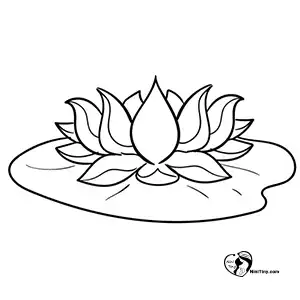 آموزش نقاشی گل نیلوفر برای کودکان مرحله هفتم compressed آموزش نقاشی گل نیلوفر برای کودکان مرحله هفتم compressed