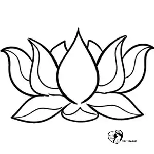 آموزش نقاشی گل نیلوفر برای کودکان مرحله پنجم compressed آموزش نقاشی گل نیلوفر برای کودکان مرحله پنجم compressed