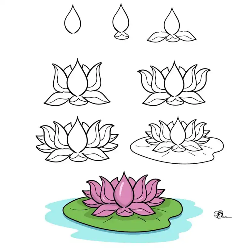 آموزش نقاشی گل نیلوفر برای کودکانن compressed آموزش نقاشی گل نیلوفر برای کودکانن compressed