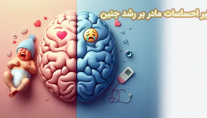 تاثیر احساسات مادر بر رشد جنین