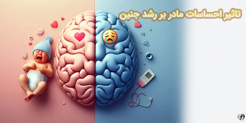 تاثیر احساسات مادر بر رشد جنین