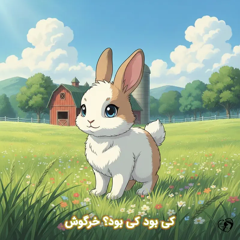 ki bod ki bod khargosh