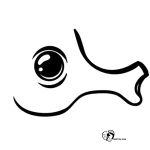 آموزش نقاشی اسب دریایی برای کودکان مرحله اول آموزش نقاشی اسب دریایی برای کودکان مرحله اول