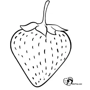 آموزش نقاشی توت فرنگی برای کودکان مرحله پنجم compressed آموزش نقاشی توت فرنگی برای کودکان مرحله پنجم compressed