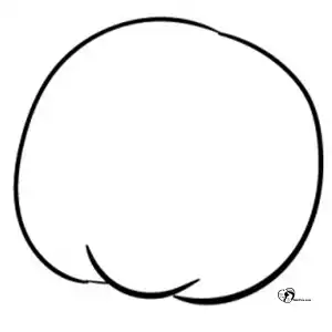 آموزش نقاشی خرس عروسکی برای کودکان مرحله اول compressed آموزش نقاشی خرس عروسکی برای کودکان مرحله اول compressed