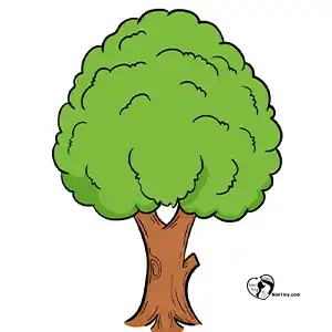 آموزش نقاشی درخت برای کودکان مرحله هفتم compressed آموزش نقاشی درخت برای کودکان مرحله هفتم compressed