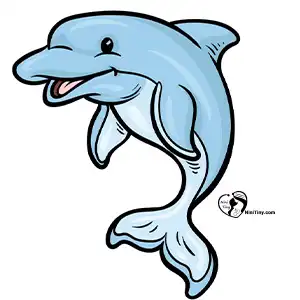 آموزش نقاشی دلفین برای کودکان مرحله ششم compressed آموزش نقاشی دلفین برای کودکان مرحله ششم compressed