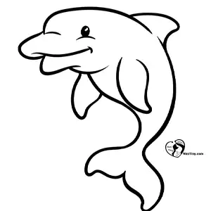 آموزش نقاشی دلفین برای کودکان مرحله چهارم compressed آموزش نقاشی دلفین برای کودکان مرحله چهارم compressed