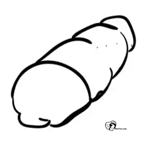 آموزش نقاشی عقرب برای کودکان مرحله اول compressed آموزش نقاشی عقرب برای کودکان مرحله اول compressed