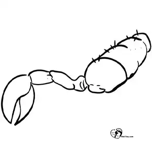 آموزش نقاشی عقرب برای کودکان مرحله دوم compressed آموزش نقاشی عقرب برای کودکان مرحله دوم compressed