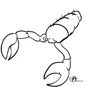 آموزش نقاشی عقرب برای کودکان مرحله سوم compressed آموزش نقاشی عقرب برای کودکان مرحله سوم compressed