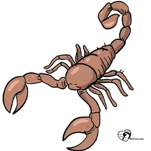 آموزش نقاشی عقرب برای کودکان مرحله ششم compressed 1 آموزش نقاشی عقرب برای کودکان مرحله ششم compressed 1