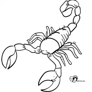 آموزش نقاشی عقرب برای کودکان مرحله پنجم compressed آموزش نقاشی عقرب برای کودکان مرحله پنجم compressed