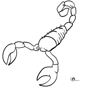 آموزش نقاشی عقرب برای کودکان مرحله چهارم compressed آموزش نقاشی عقرب برای کودکان مرحله چهارم compressed