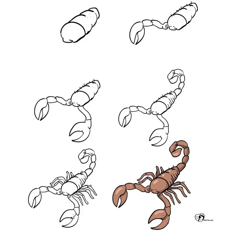 آموزش نقاشی عقرب برای کودکان ن compressed آموزش نقاشی عقرب برای کودکان ن compressed
