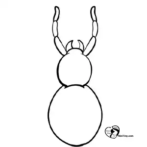 آموزش نقاشی عنکبوت برای کودکان مرحله سوم compressed آموزش نقاشی عنکبوت برای کودکان مرحله سوم compressed