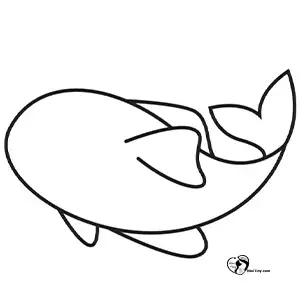 آموزش نقاشی ماهی کوی برای کودکان مرحله پنجم compressed آموزش نقاشی ماهی کوی برای کودکان مرحله پنجم compressed