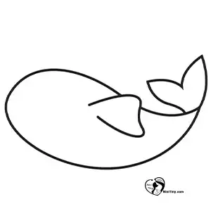 آموزش نقاشی ماهی کوی برای کودکان مرحله چهارم compressed آموزش نقاشی ماهی کوی برای کودکان مرحله چهارم compressed